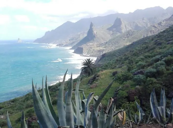 Cozy Near Teresitas Bed and Breakfast 3*